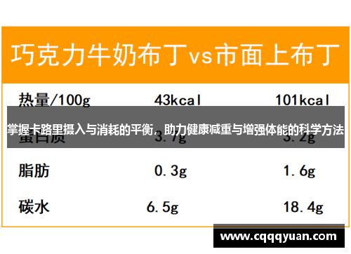 掌握卡路里摄入与消耗的平衡，助力健康减重与增强体能的科学方法